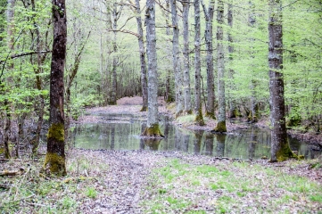 OUZOUER-SUR-TREZEE-loiret