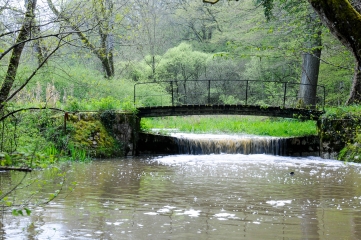 RANDO DES ETANGS-loiret