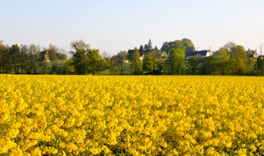 RANDO DU MUGUET-loiret