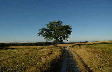 CHEMIN DE COMPOSTELLE - PARTIE 3-lot