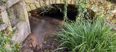 BOVILA FARGUES 13.2KM-lot