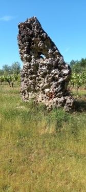 ST VINCENT RIVE D OLT 11.4KM  46140-lot