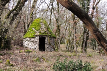CAUSSE DE GRAMAT-lot