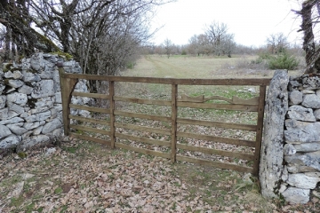 CAUSSE DE GRAMAT-lot