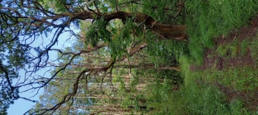 PONTCIRQ 14.6KM  12.07.24-lot