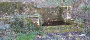 PERN 46170 12.5 KM 17.01.25-lot