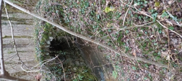 CéNAC 12.4KM  04.02.25-lot