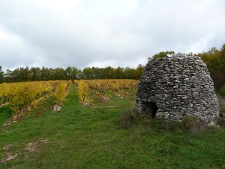 SAUZET - ENTRE VIGNES ET COTEAUX-lot