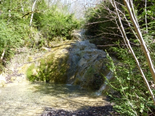 LUZECH - PAYROLS-lot