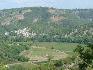 LUZECH - PAYROLS-lot