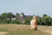 FLORESSAS - LA MATEVE - SERIGNAC-lot