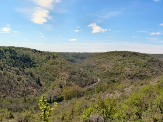 MALBEC A ST-VINCENT-RIVE-D OLT-lot