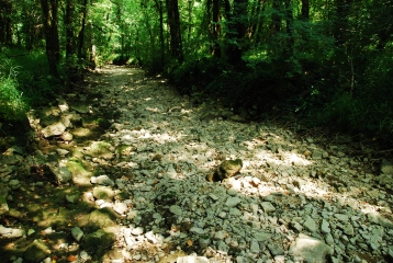 ROCAMADOUR VIA GRANOUILLAT-lot