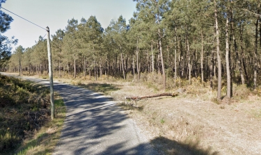 ALLONS - EN FORET ET SUR UNE ANCIENNE VOIE FERREE (VERSION COURTE)-lot-et-garonne