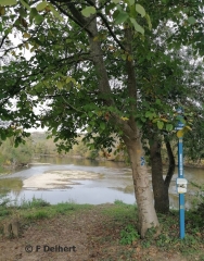 AIGUILLON - DE LA BASTIDE AU CONFLUENT DU LOT ET DE LA GARONNE-lot-et-garonne