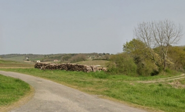AMBRUS - PROMENADE VERS LE VIGNOBLE DE PADERE-lot-et-garonne