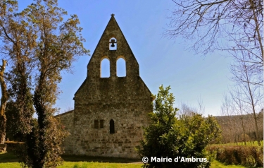 AMBRUS - DECOUVERTE DE LA FORET-lot-et-garonne