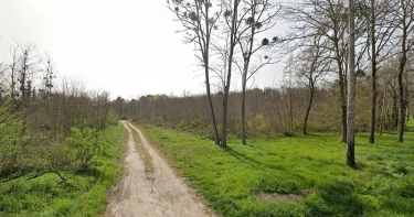 AMBRUS - DECOUVERTE DE LA FORET-lot-et-garonne