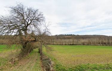 AUBIAC - UNE BALADE NATURE EN BRUILHOIS-lot-et-garonne
