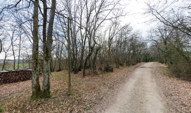 AUBIAC - UNE BALADE NATURE EN BRUILHOIS-lot-et-garonne