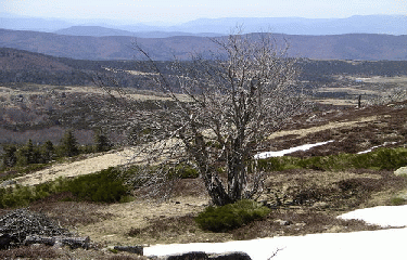 Circuit sur le Mont Lozere-lozere