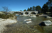 PONT DU TARN-lozere
