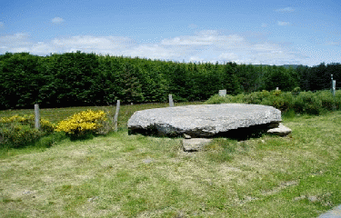 BASTIDE-PUYLAURENT(2)-lozere