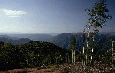 VILLEFORT -  VIELVIC-lozere