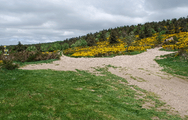 FORET DE LAVEYRUNE-lozere