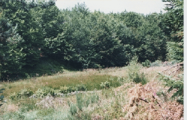 MOURE DE LA GARDILLE-lozere