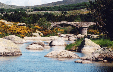 EST DE VILLEFORT -lozere