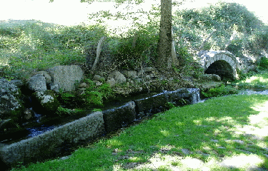 TOUR DU CHASSEZAC-lozere