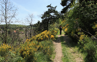 ALLENC - LA BASTIDE PUYLAURENT-lozere