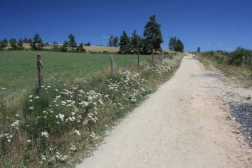 TOUR DES MONTS AUBRAC - ETAPE 6-lozere