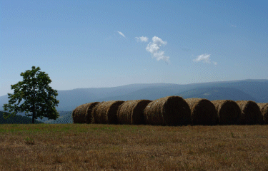 Les sources du Lot-lozere