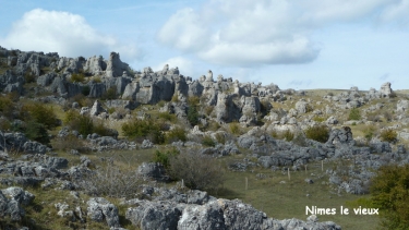 FRAISSINET-DE-FOURQUES-lozere