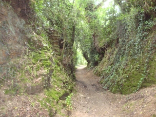 AUTOUR D ANDREZE-maine-et-loire