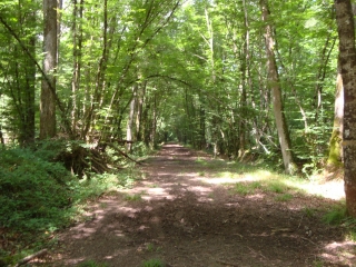 CHEVIRE LE ROUGE-maine-et-loire