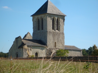 MONTFORT-CIZAY - FORET DE BROSSAY-maine-et-loire