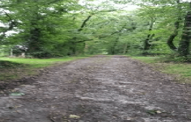 SAINT-CHRISTOPHE-DU-BOIS - RANDONNEE DES EOLIENNES-maine-et-loire