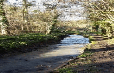 MONTFAUCON-MONTIGNE-maine-et-loire