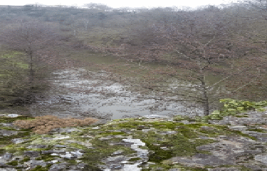 LES COTEAUX ET  LA VALLEE DE L EVRE - LE FIEF SAUVIN-maine-et-loire