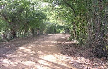 SOULAINE-SUR-AUBANCE-maine-et-loire