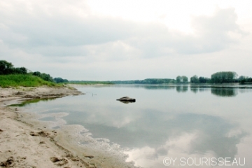 SAINT-JEAN-DE-LA-CROIX - CIRCUIT DE SAINT-JEAN-maine-et-loire