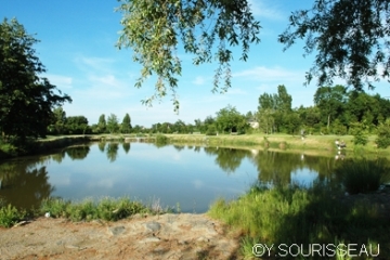 VAUCHRETIEN - SENTIER DU GRAND LUMA-maine-et-loire