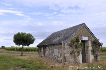 VAUCHRETIEN - SENTIER DU GRAND LUMA-maine-et-loire