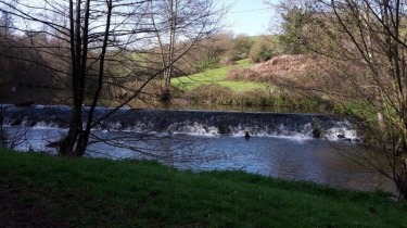 BOTZ-EN-MAUGES-maine-et-loire