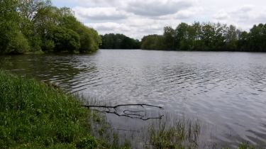 GESTE - LA THEVINIERE - CHATEAU DU PLESSIS-maine-et-loire