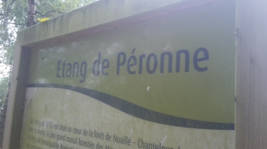 CHANTELOUP-LES-BOIS - ETANG DE PERONNE -maine-et-loire