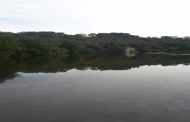 LE LONGERON-maine-et-loire